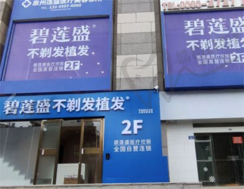 泉州碧莲盛植发