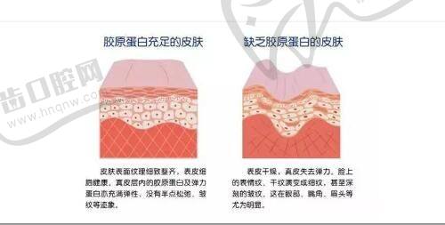 大连董萍整形医院眼部整形项目价格