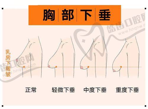 六、官网预约操作详解：严肃法定入口，一键选骨干医生
