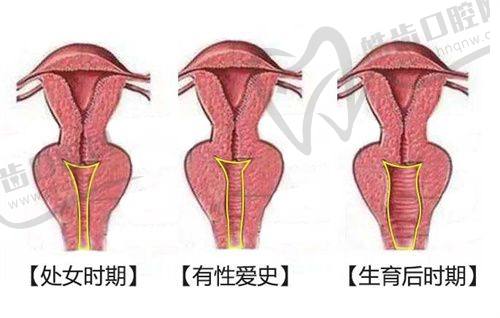 七、预约注意事项与避坑提示：号源抢手，信息务必正确