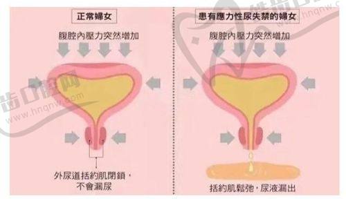 一、卿银医生个人简介