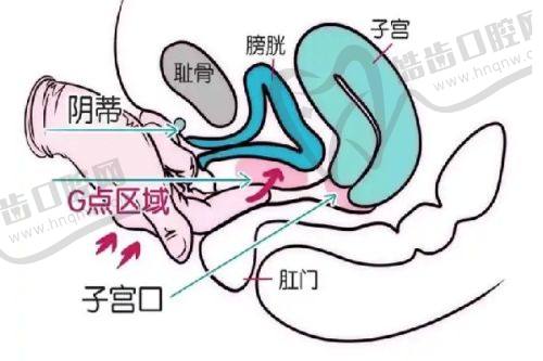 宁波壹加壹医疗美容医院简介概述