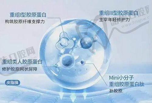 长春圣婉丽医疗美容门诊部地址电话营业时间