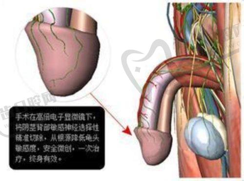 宁波江北小美微针医疗美容门诊部详细的预约挂号方式及流程