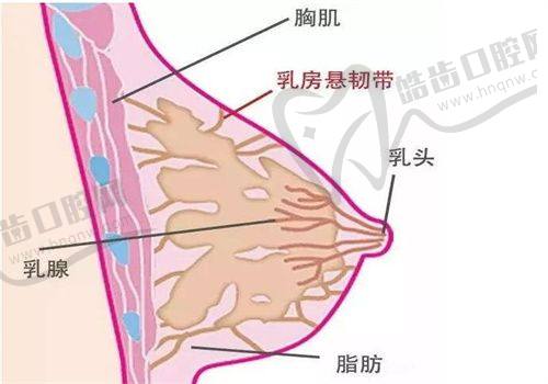 杭州玥颜医疗美容诊所在来院路线