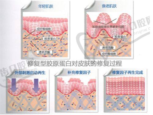 乔雅登其他系列型号解析
