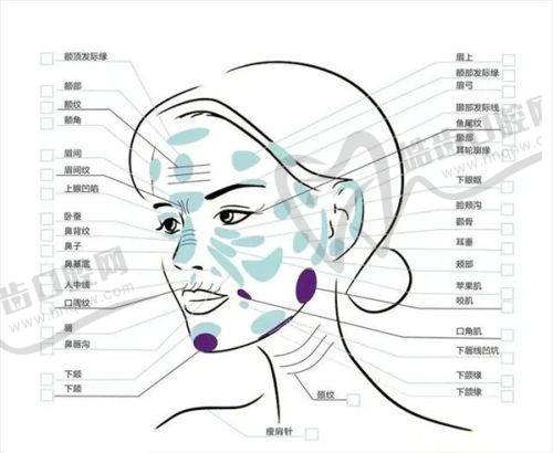 宁波壹加壹童颜龄价格3000元起，个性化方案定制+私密环境护航