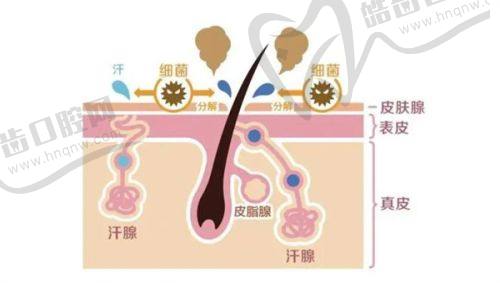 疤痕修复相关项目价格