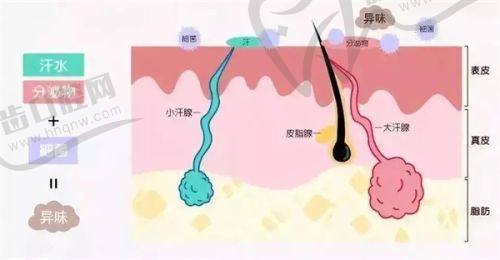 长春铭医整形美容医院收费价格表/收费标准