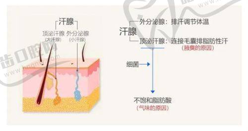 新疆乌苏优兰卡医疗美容诊所简介概述