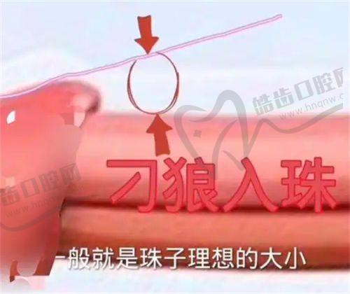 周晚香医生的执医荣誉情况
