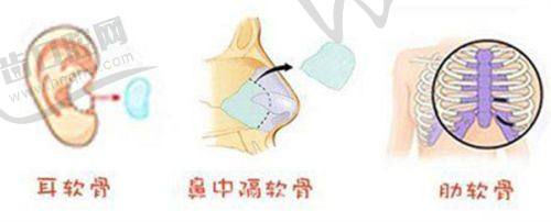 郭昌灏医生的擅长项目解析