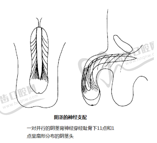 唐山美联臣医疗美容医院怎么样，口碑评价如何？