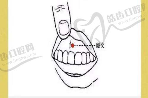 美国舒铂鼻与肋骨鼻对比，优势劣势大揭秘！