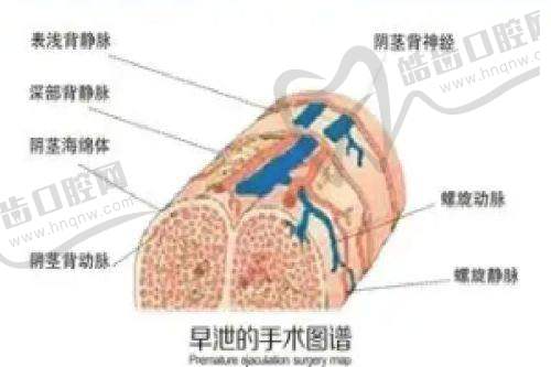 乌鲁木齐佳都俏臣医疗美容地址及乘车路线