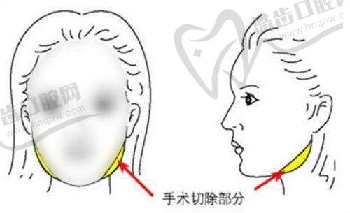 昆明海木医疗美容门诊部基本信息