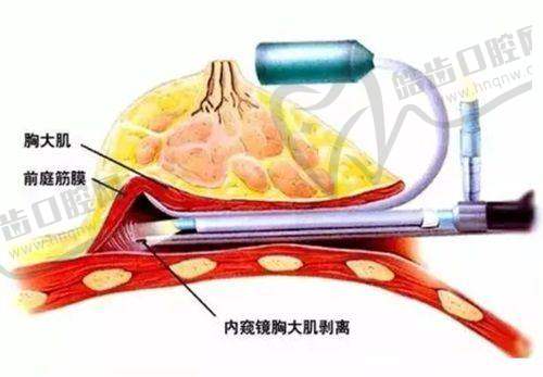 长春铭医贝瑞茜红颜针价格3280元起·针对松弛细纹医生定制抗衰方案