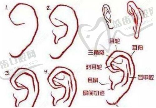 【2025八大处耳再造手术费用】北京和成都八大处耳朵整形价格比拼，具体收费多少快来了解