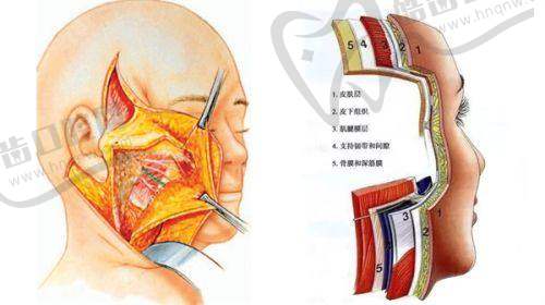 北京嘉禾妇儿医院侯智慧医生基本信息