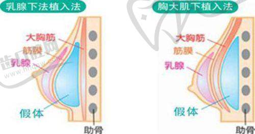 郑州华领整形美容医院医生简介