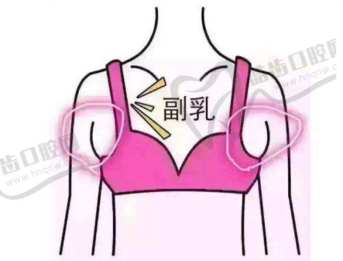王静医生的执医荣誉