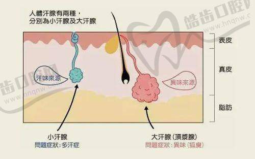 郑州金水樊宝林医疗美容诊所基本信息