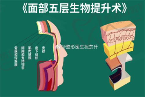 北京纯脂医疗美容冯斌医生手术相关情况