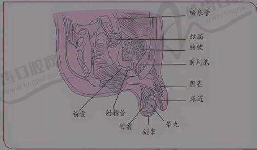 北京阎晓辉所在医院擅长的身体塑形技术有哪些