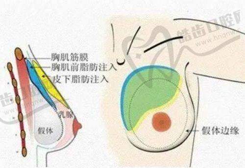 金志昱院长价格表