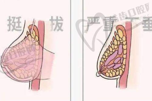 北京纯脂医疗美容门诊部价格参考