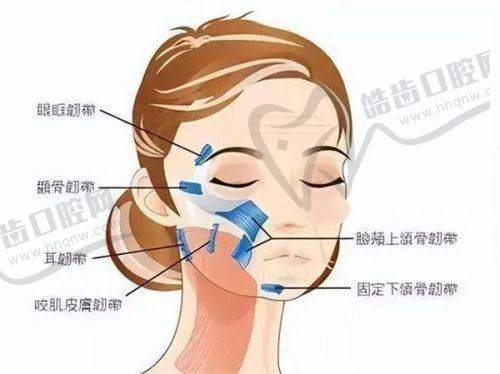 北京纯脂医疗美容冯斌医生医术评价之个性化方案定制