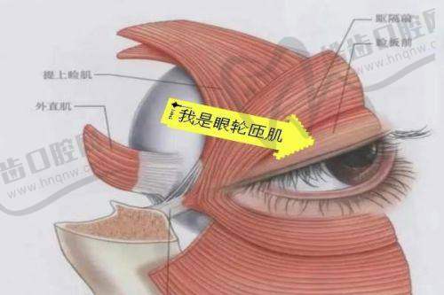 瑞丽双眼皮价格合理透明，选择多样灵活