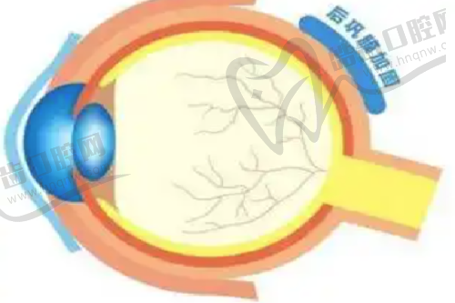 李志海医生的执医荣誉