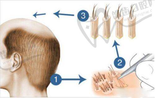 李志海医生的个人资料简介