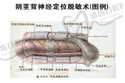 做微针怎样降低皮肤角质层变薄风险：选择与规划要点