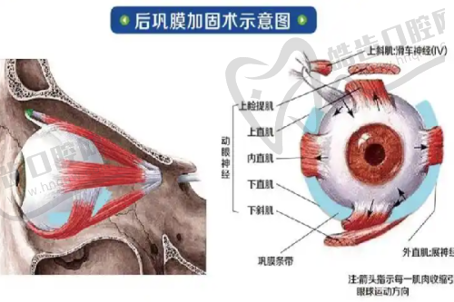 （二）擅長項目與診療范圍