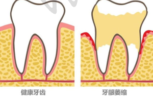 分类价目表：细分类目全方面解析