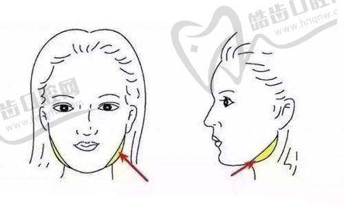 阿杜博士（外籍）预约挂号