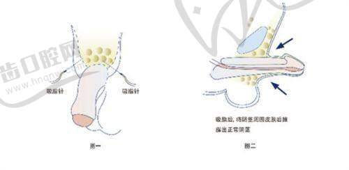 廉杰医生执医荣誉