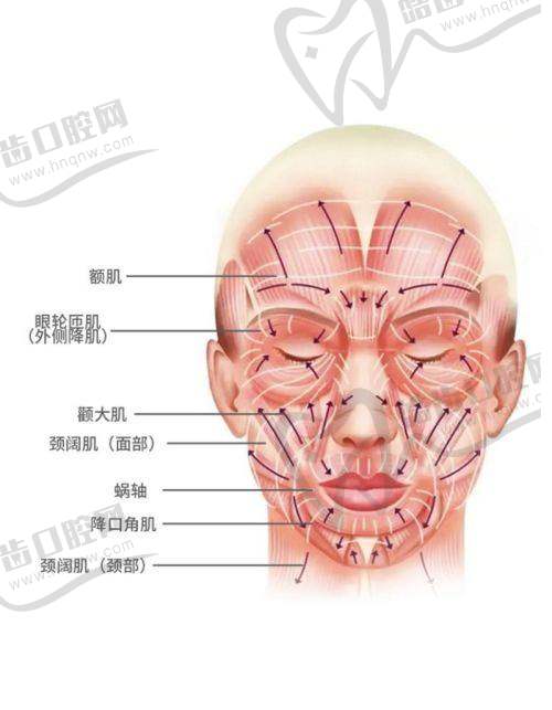 预约袁强博士需提前准备什么？流程不复杂但需提前防“满号”