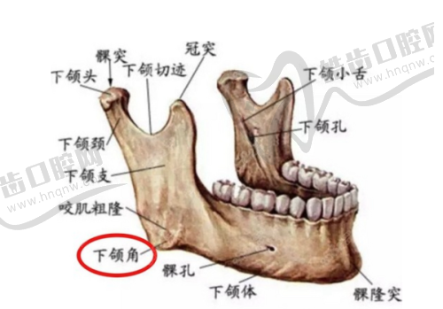 去势手术医生的专精评估至关重要