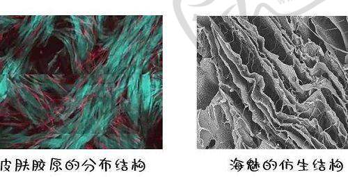 丁丁注射玻尿酸的收費(fèi)價(jià)格及注意事項(xiàng)