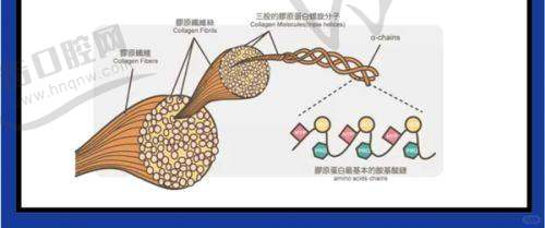 上海華美韓國品牌200單位瘦腿項目真人實例一