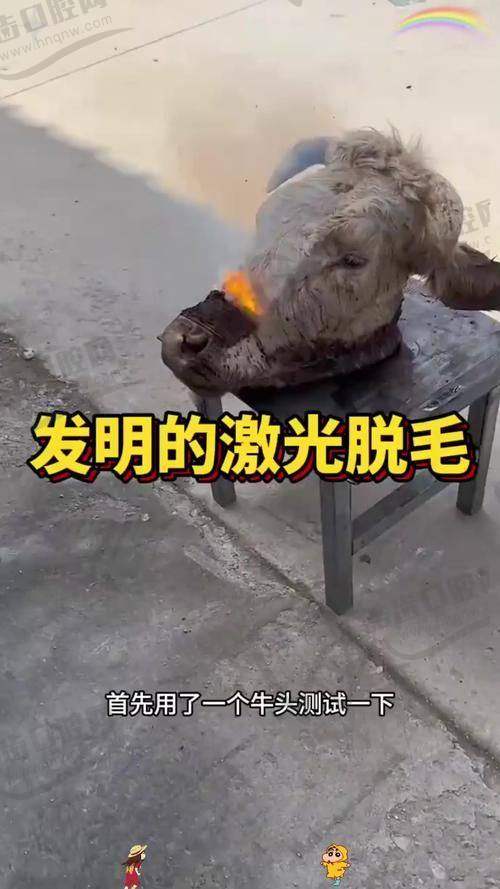 大连京城皮肤病医院：专精脱毛，成效显著