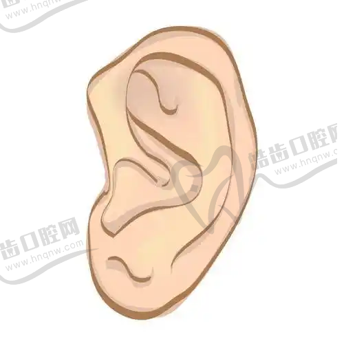 男性去势术怎样做手术：国内医院收费情况