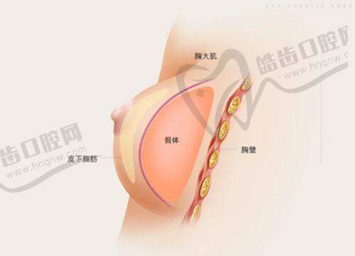 普丽兰的韩国背景：优质环境孕育的品牌