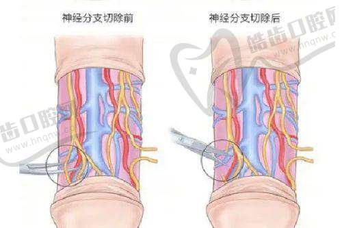 上海九院美容整形外科纯美容项目自费详情