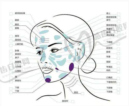普丽兰的市场影响力：韩国品牌的海内外魅力