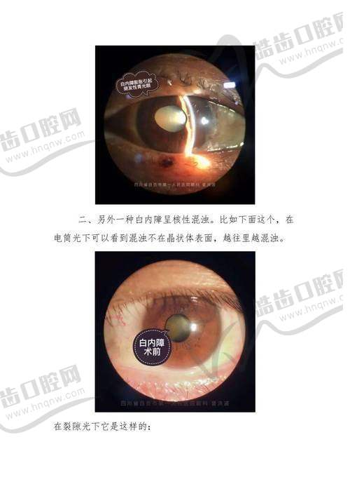 杭州新瞳眼科医院基本信息