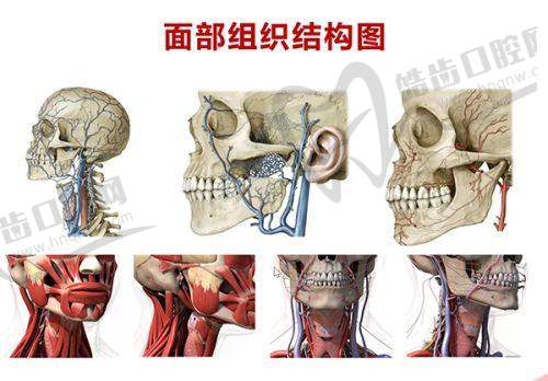 宋萍医生的技术优势亮点